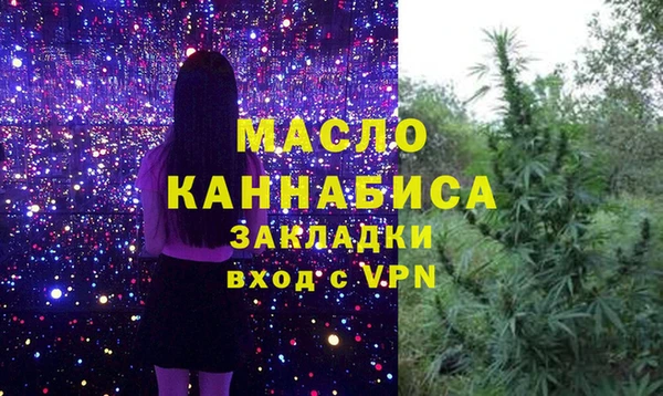 дживик Надым