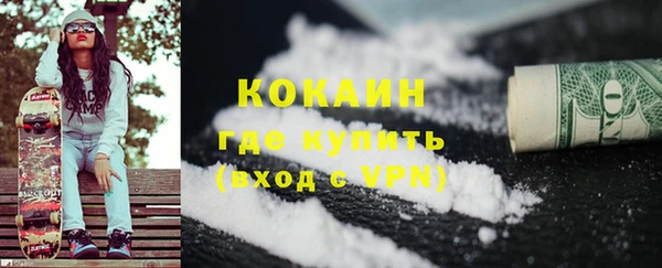дживик Надым