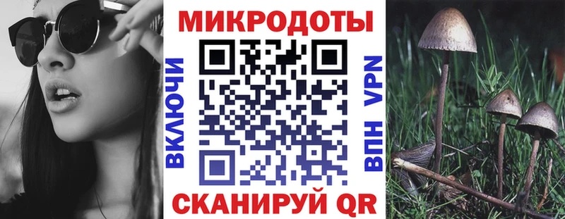 где можно купить Сорск Псилоцибиновые грибы мицелий